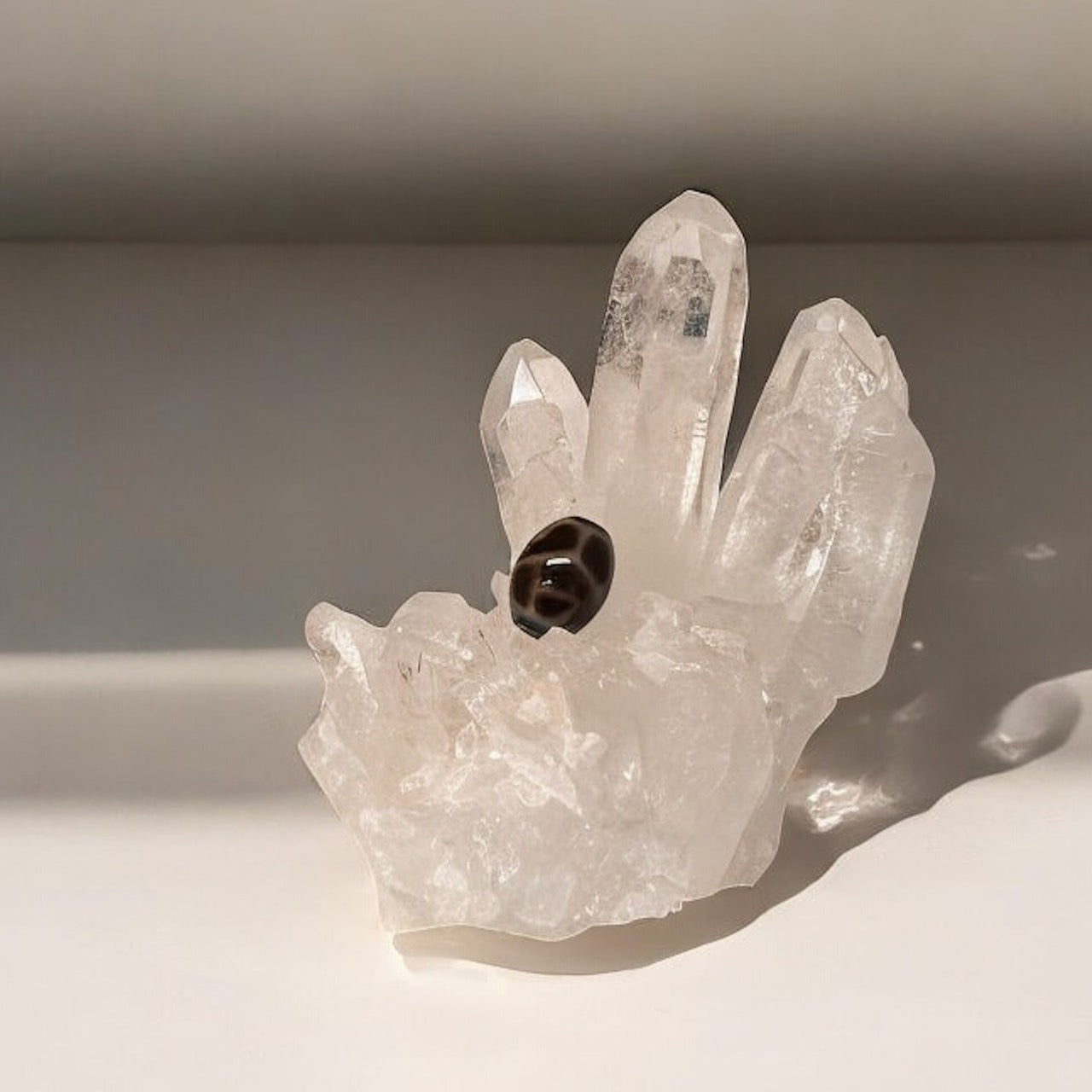 長寿蓮花天珠(中丸)