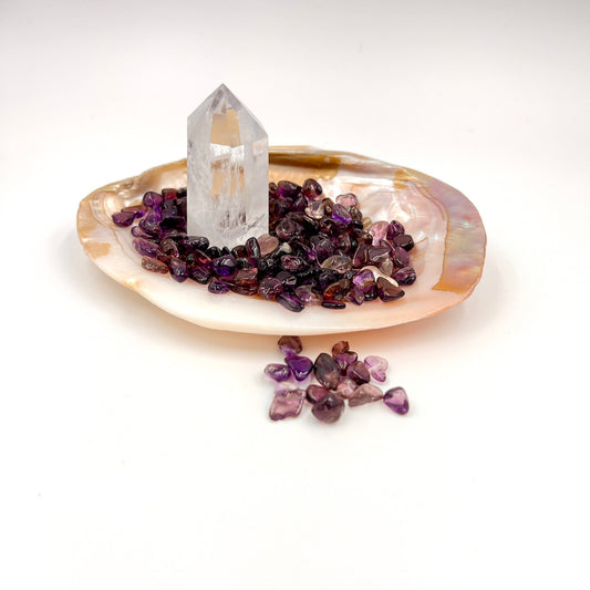 エクセレントアメジストさざれ&パールシェル皿セット