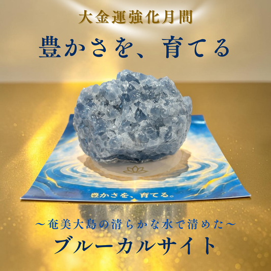 【お一人様5個まで】豊かさを育てる　ブルーカルサイト